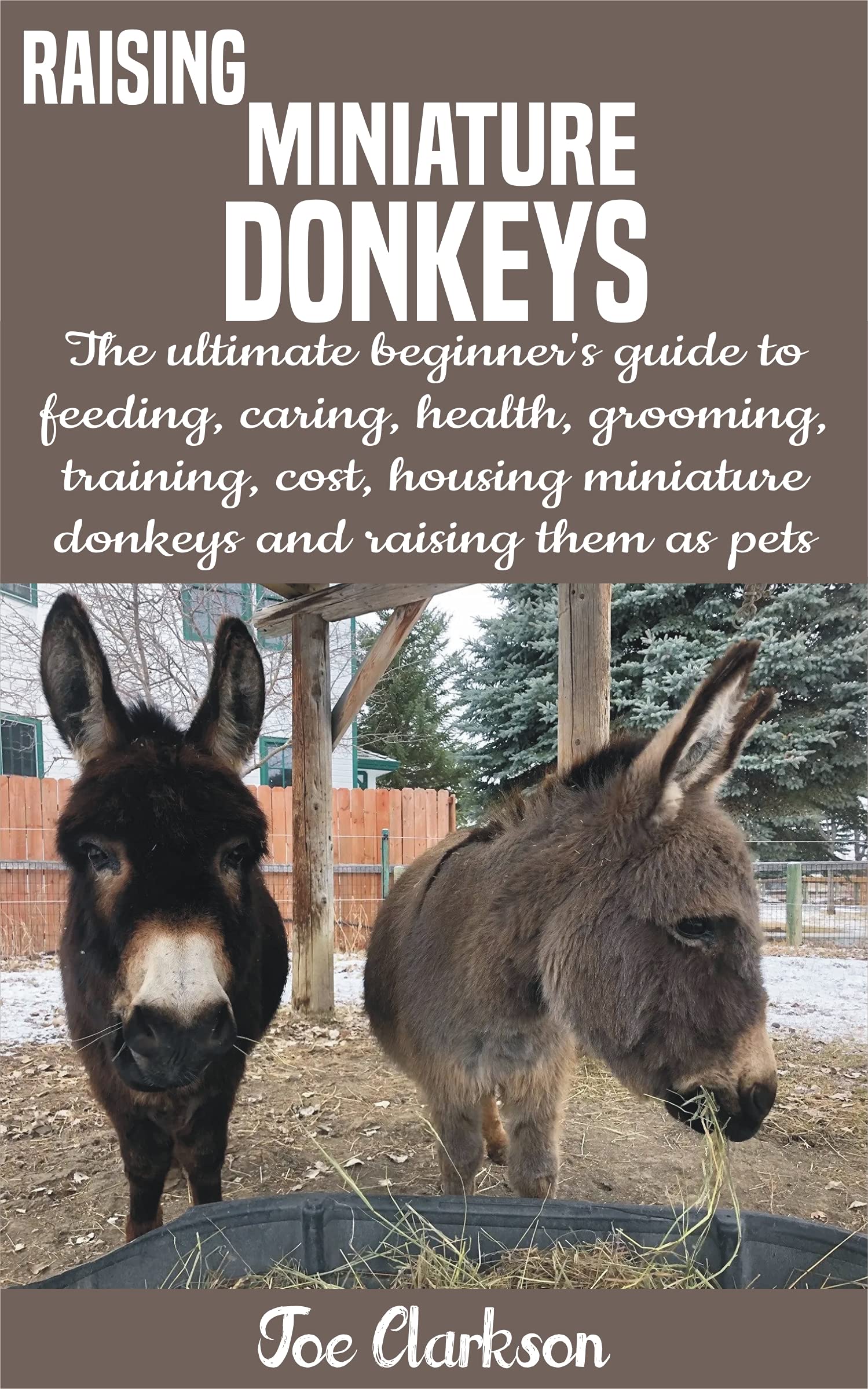 Buy RAISING MINIATURE DONKEYS The ultimate beginner’s guide to