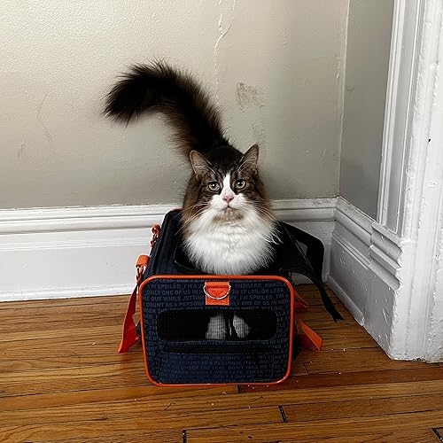 Miniatura 2 de Transportador oficial de mascotas de JetBlue Airlines Blue Blue 16 pulgadas