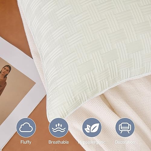 Miniatura 3 de Leeden Juego de 2 rellenos de almohada de 18 x 18 pulgadas, formas de almohada suaves y esponjosas para sofá y cama, rellenos de almohada