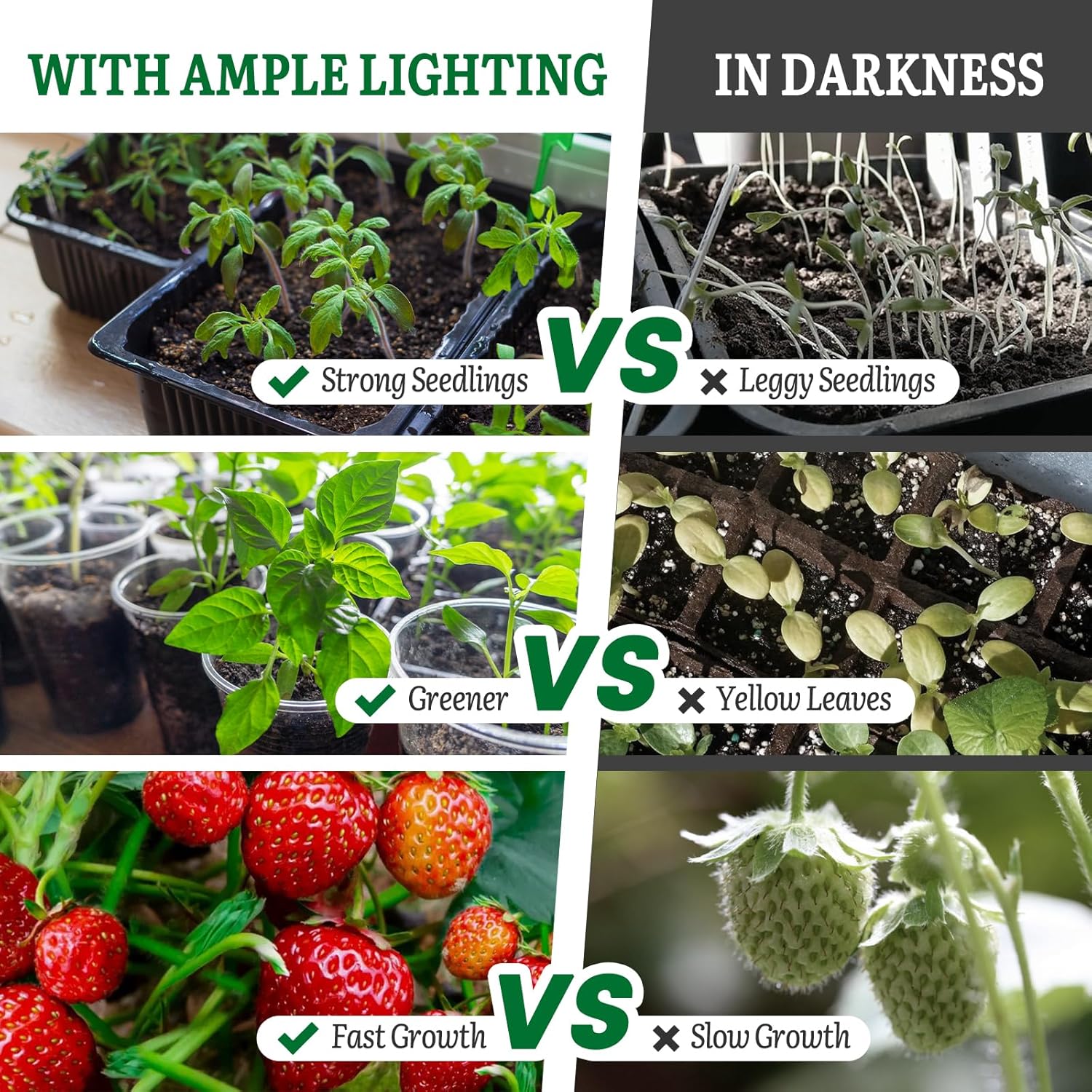 SOLIGT Grow Lights for Seed Starting, 2FT LED Full Spectrum Seedling Grow Lights with 4 Brightness & 8/12/18H On Timer, Adjustable Height Stand for Indoor Plants, Seedlings, Herbs & Vegetables