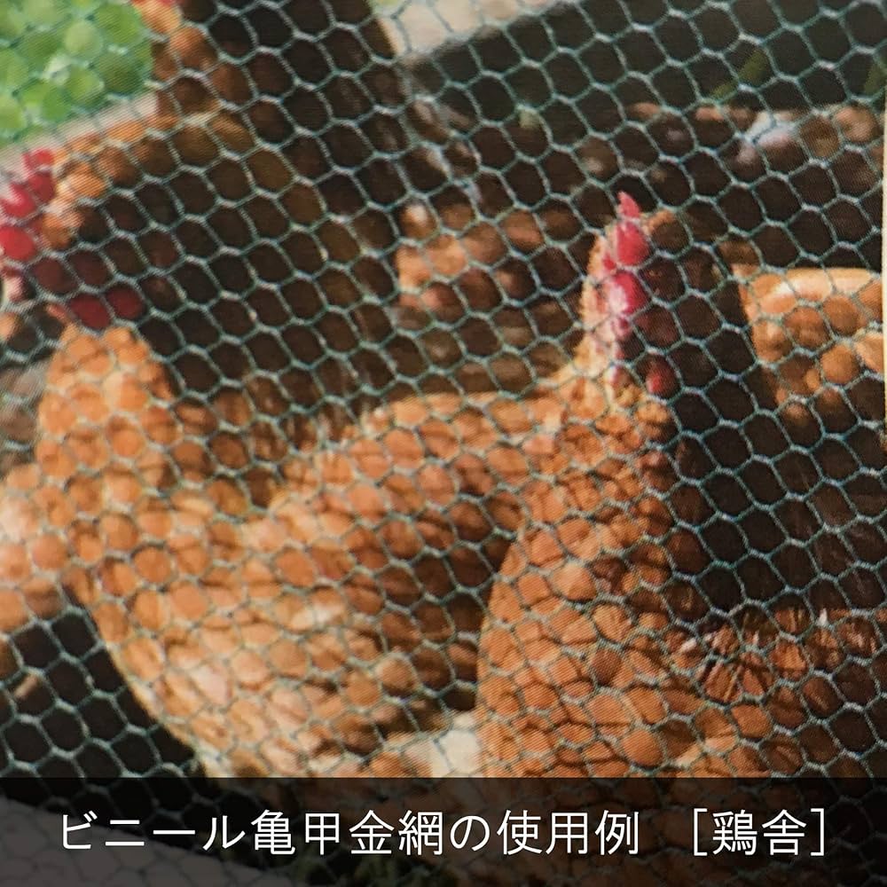 azu 903535天板金網 azu 903535天板金網 Amazon.co.jp: EUSTACE