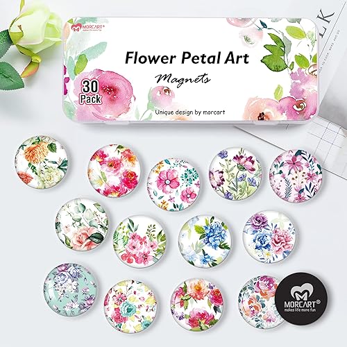 Miniatura 6 de MORCART MR-3082 - 30 imanes para nevera, imanes para nevera de cocina, taquilla, pizarra blanca, oficina, lavavajillas