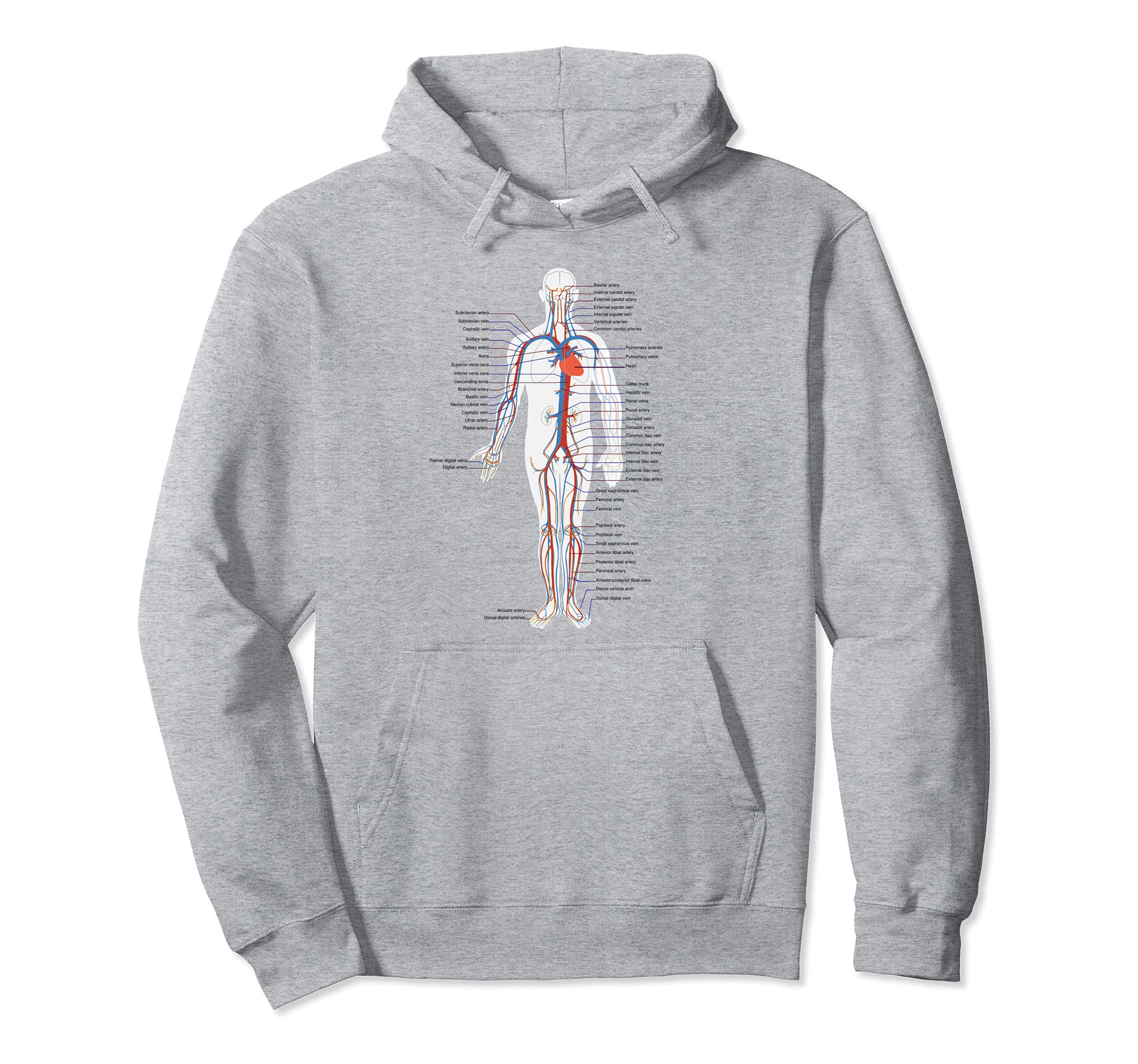 Amazon.com: Anatomy Hoodie, Blood Vessel Anatomy, Circulatory System  Pullover Hoodie : Clothing, Shoes \u0026 Jewelry
