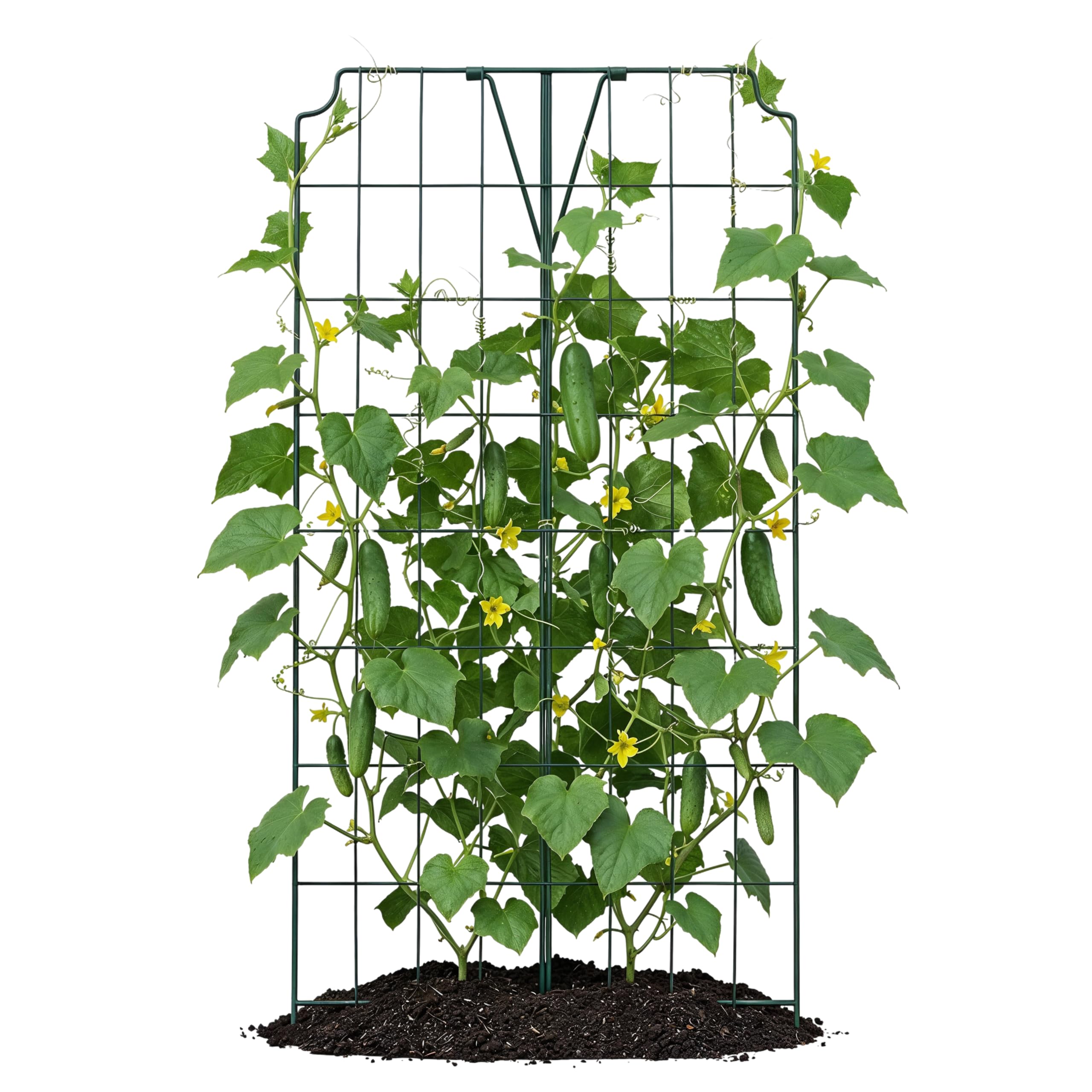 bellissa 1 Stück - Gurken-Gitter und Rankhilfe für Gurkenpflanzen und Gemüse – Rank- für Topfpflanzen grün 121x77 cm