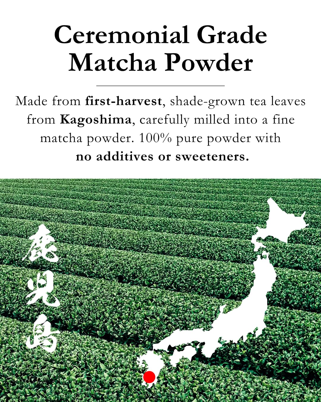 Emptea Kagoshima Matcha Powder Ceremonial Grade First Harvest Tea Master Blend Japanese Green Tea Powder from Kagoshima Japan — view 2