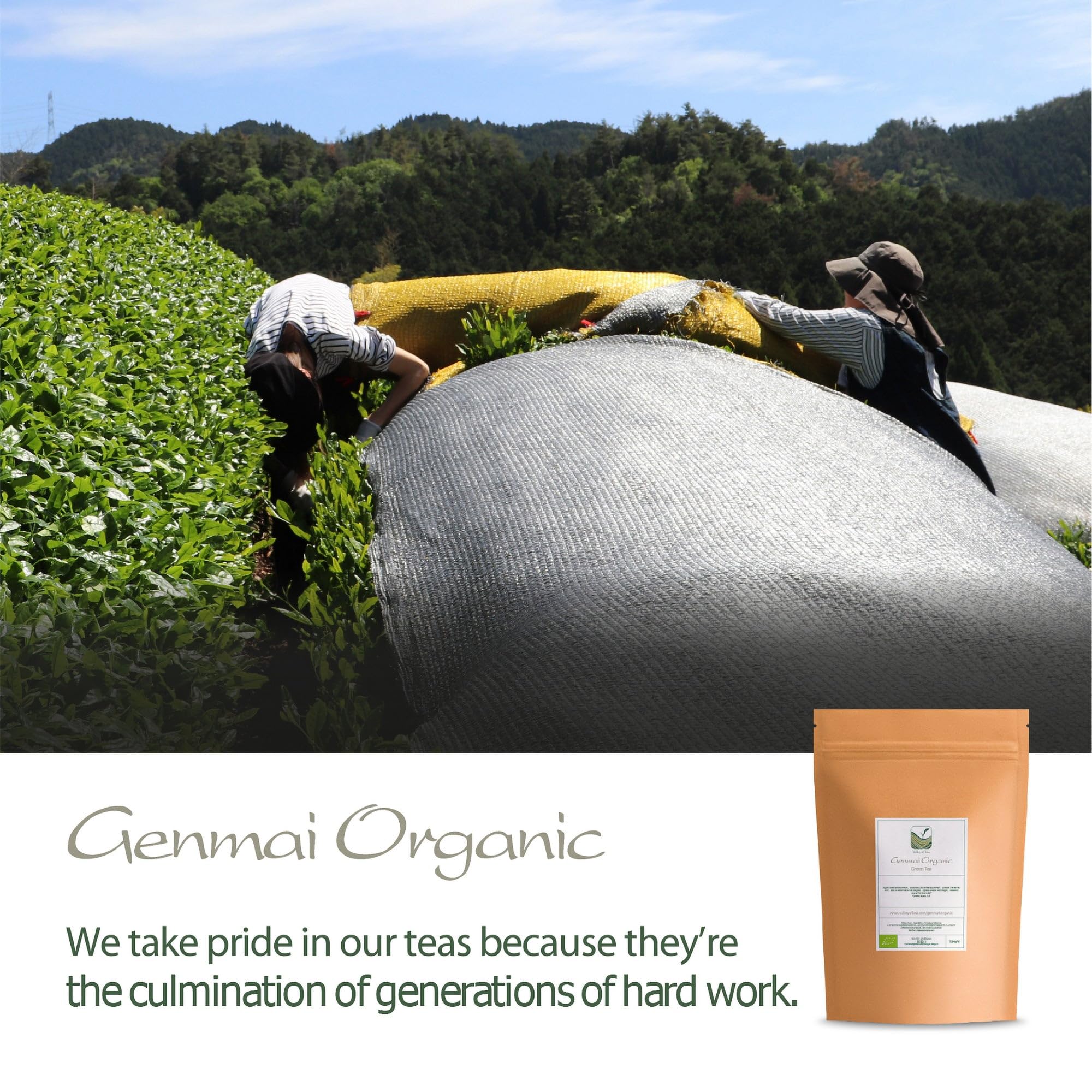 Genmaicha Japanese Rice Tea - Green Genmai Cha Directly From Japan - Toasted Brown Rice Popcorn Tea