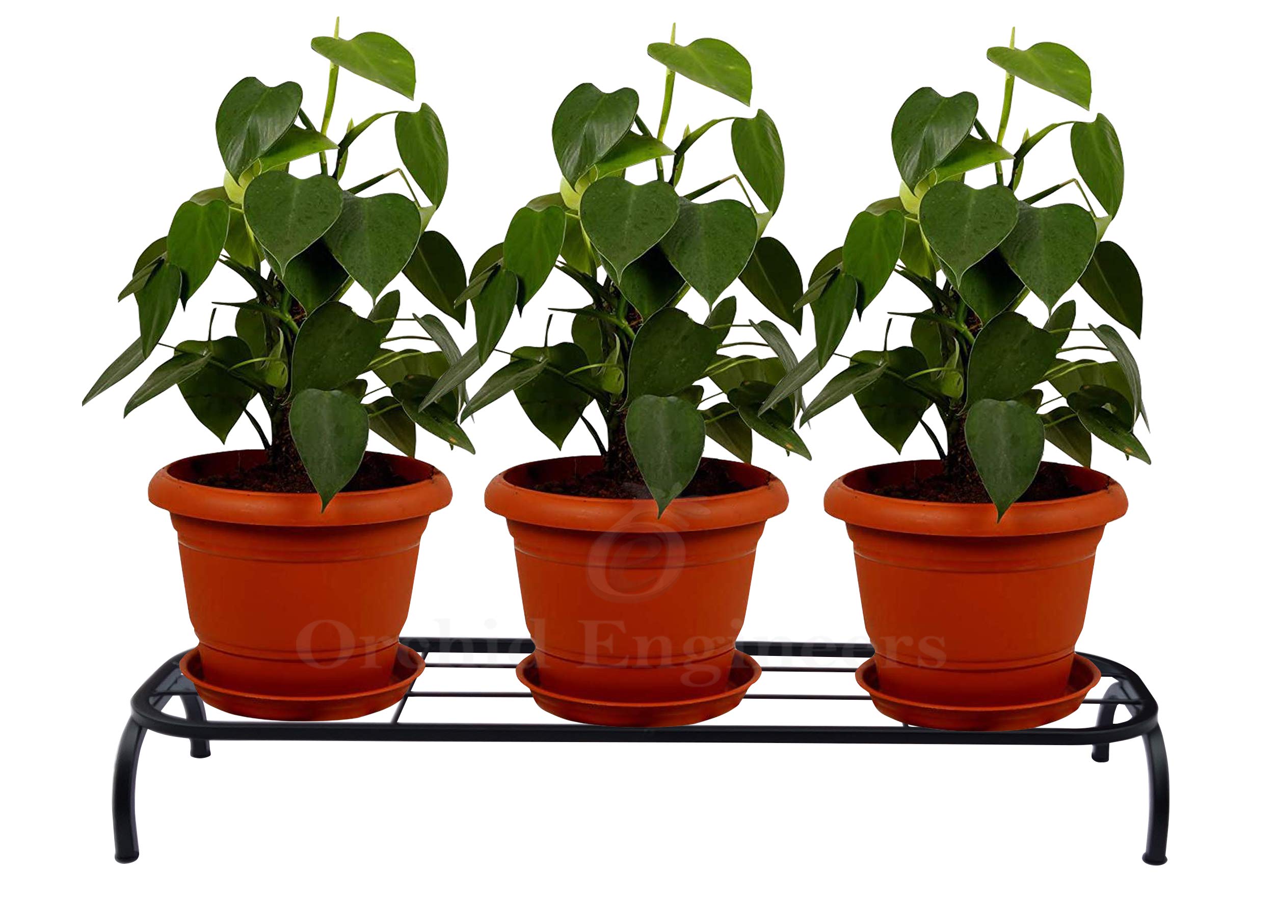 ORCHID ENGINEERS Iron Indoor/Outdoor Flower Pot/Plant Stand for Home Garden Balcony living room decor( FOR 3 BIG POTS 75CM LENGTH POT STAND, PACK OF 1 (B08HFXB26R) Amazon Price History, Amazon Price Tracker