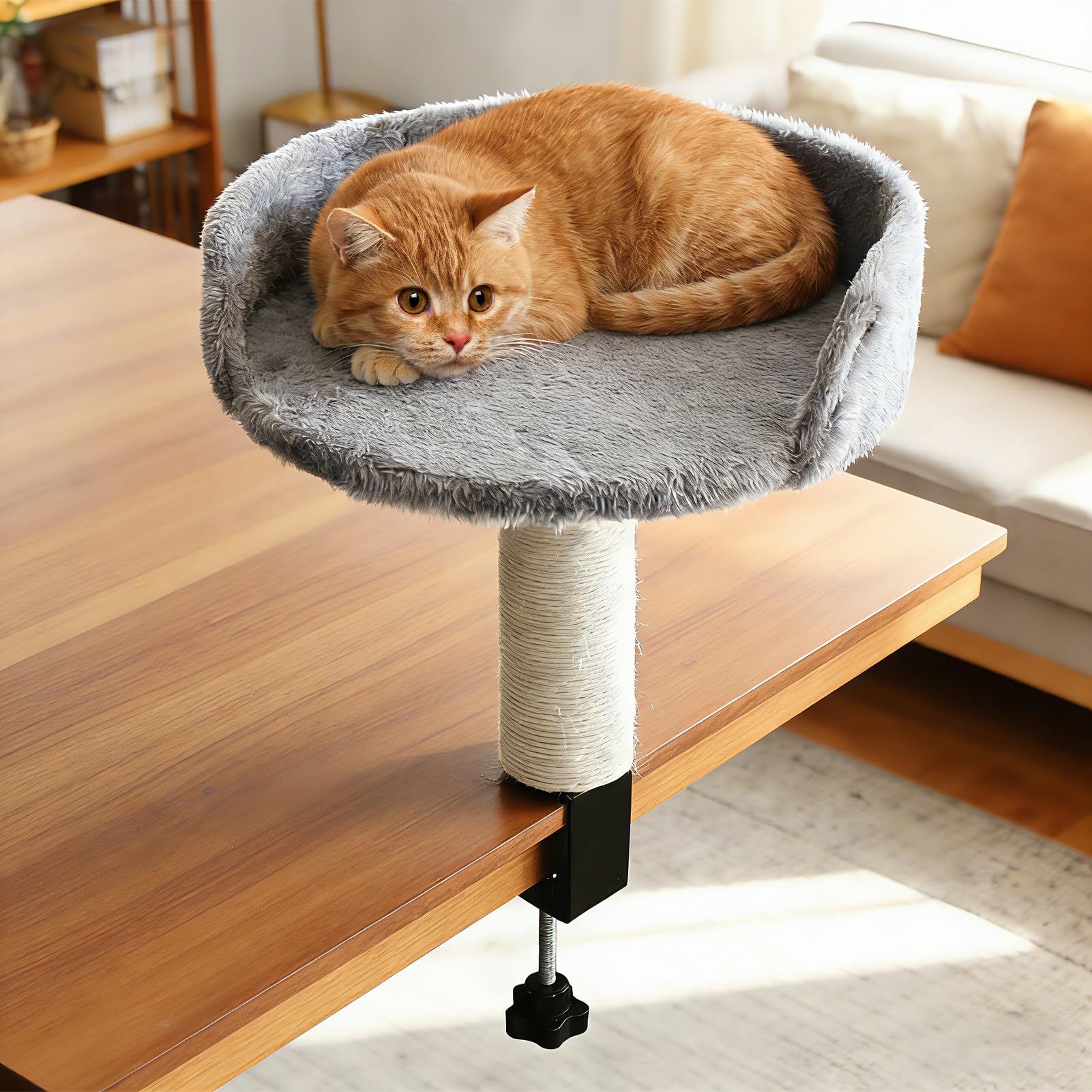 Pilipane Cat Bed for Desk,Under Desk Cat Hammock with Scratching Post,Sturdy and Portable Pet Perch Holds 6lbs,Easy Install,Space-Saving Office Cats Bed for Work from Home (Small)