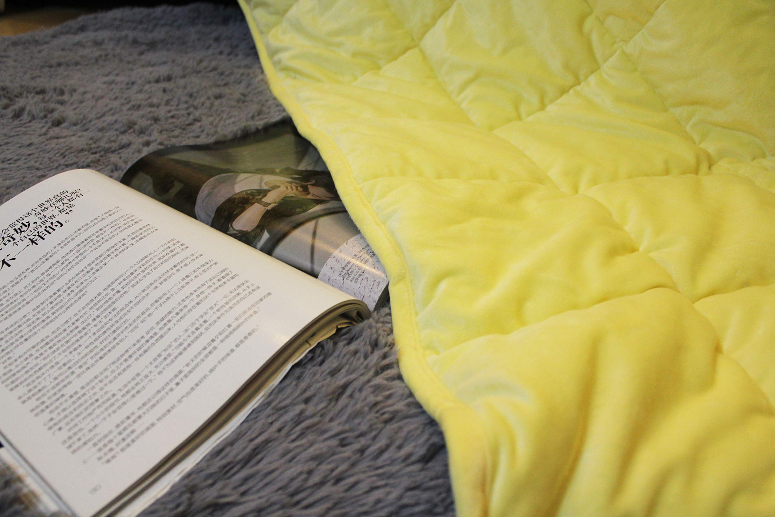 ALANSMA Reversible Weighted Blanket For All Season