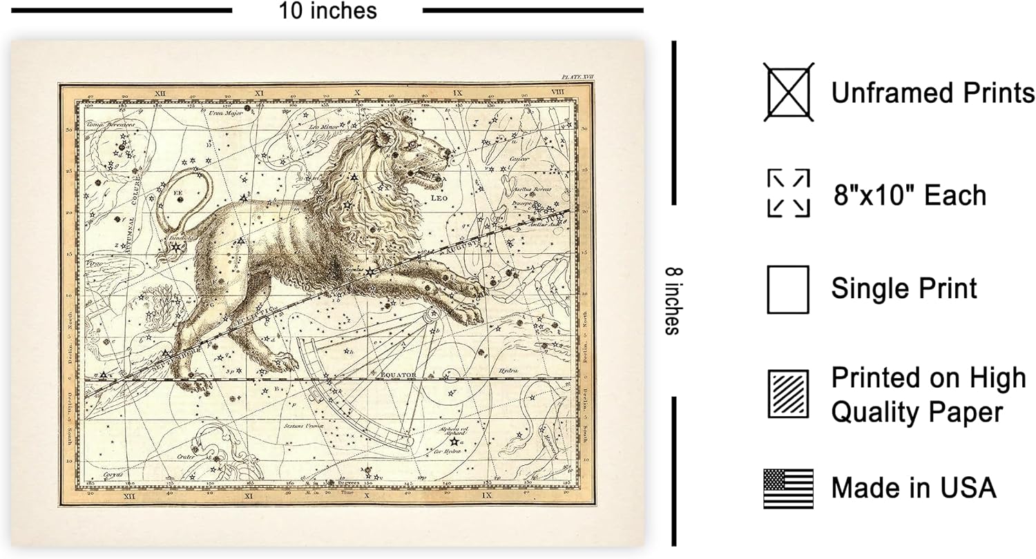 Poster Master Leo the Lion Zodiac Sign Poster, Great Vintage Zodiac Poster, 8x10 Unframed Art Print, Astrology and Aptitude Vintage Home Wall Decor for Astrology Enthusiasts
