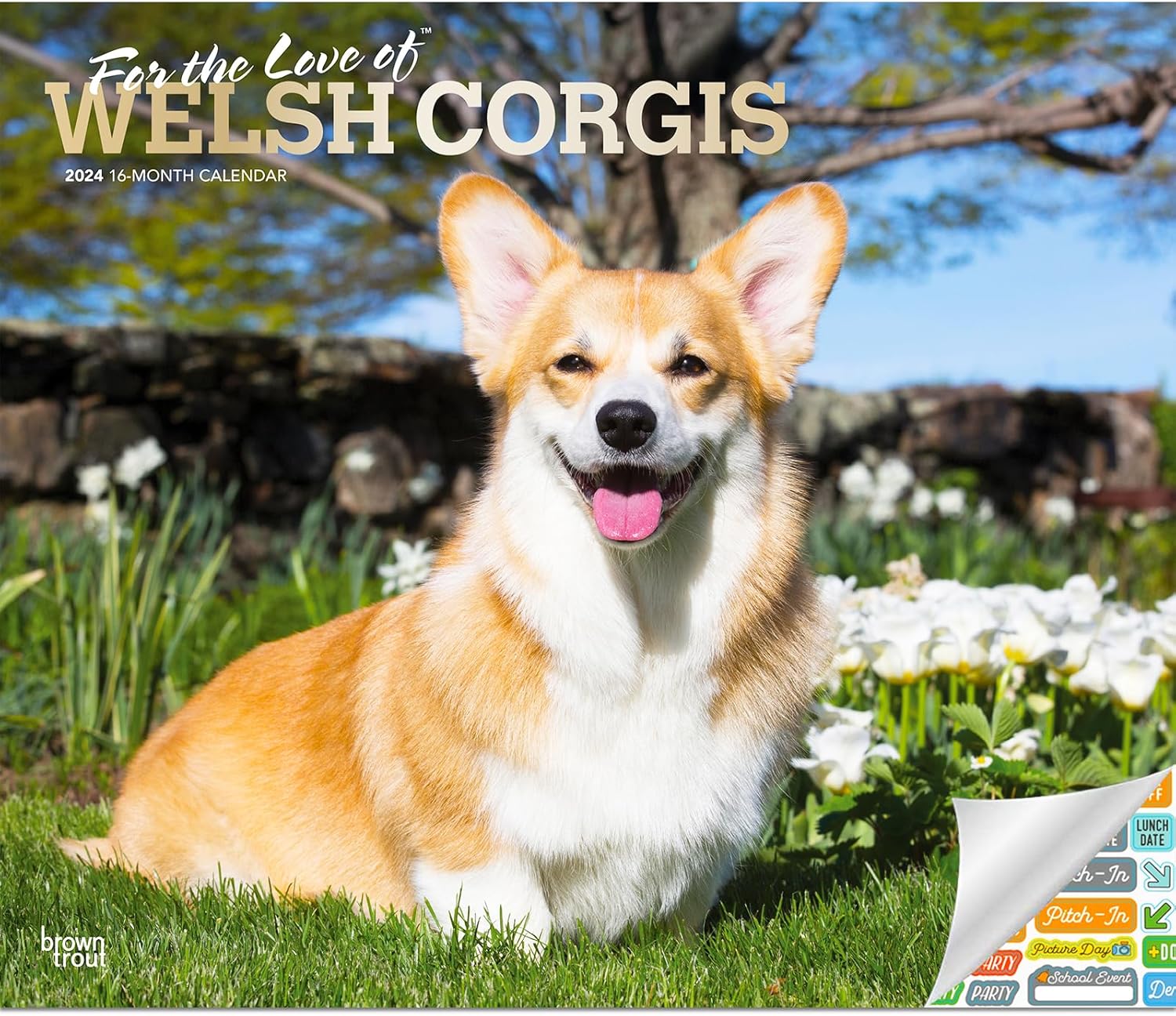 Welsh Calendar 2024 Deluxe 2024 Wall