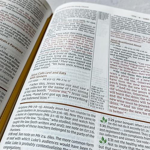 Miniatura 7 de Personalized NIV Study Bible, Brown and Blue, Hand Illustrated & Laser Engraved, Custom Name Engraving Available, Personalized Gift for Birthday,