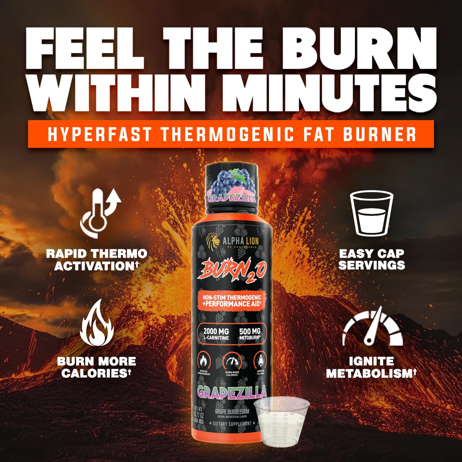 Snapklik.com : ALPHA LION Burn2O L-Carnitine Liquid 2000mg Stim Free Super  Thermogenic Fat Burner