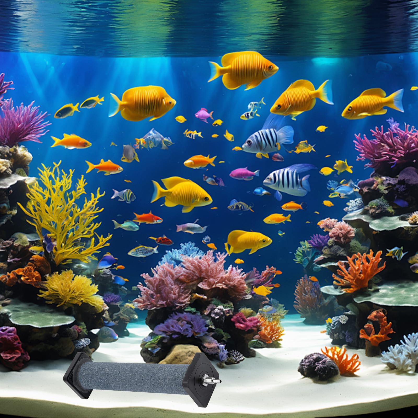 Aquarium Pierre d'air, Cylindre Diffuseur de Bulles, Pierre à Bulles d'aquarium, pour étang Jardin Système de Circulation