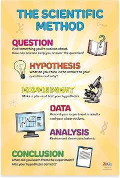 ZOCO Scientific Method Poster Critical Thinking & STEM Learning Wall Chart Laminated 12" x 18" Elementary, Middle & High School Science Teacher Classroom Must Haves