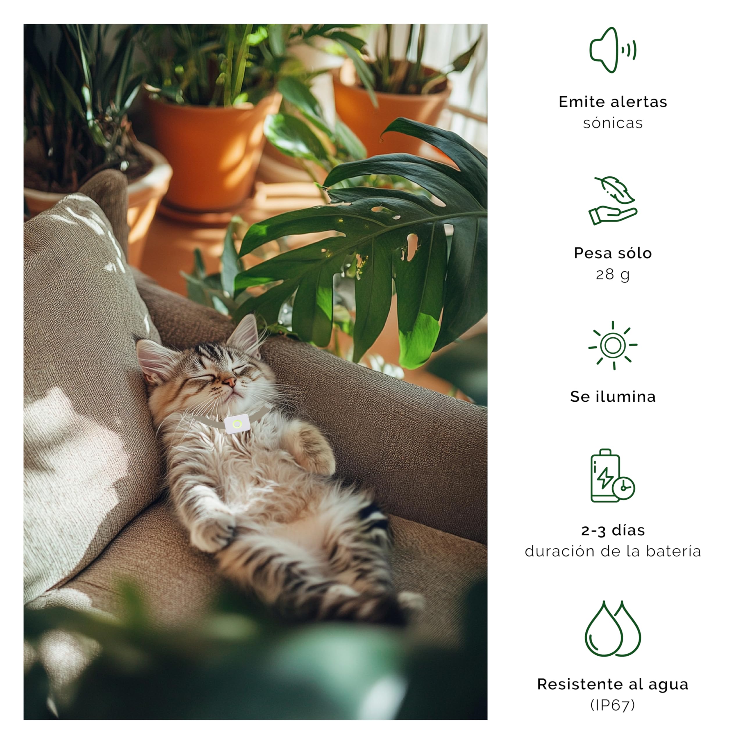 Lilcat 2 GPS y rastreador de Actividad para Gatos, Impermeable, Ligero, a Prueba de Golpes, Seguimiento GPS en Vivo e historial de ubicación, Contador de Pasos y Monitor de Actividad, Fabricado en