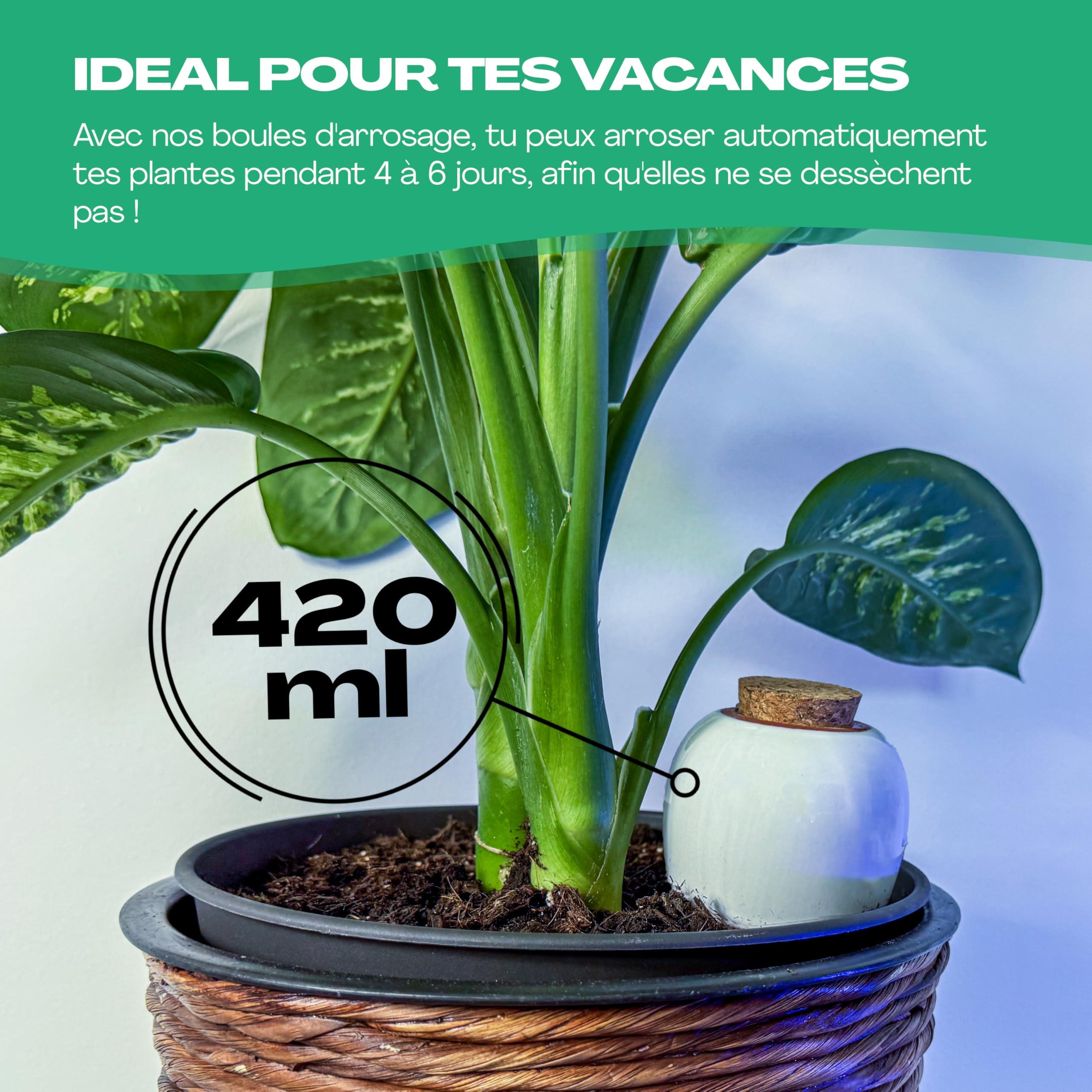 Netrox Cônes Irrigation Argile Plantes 4 Pièces Vacances 14 Jours