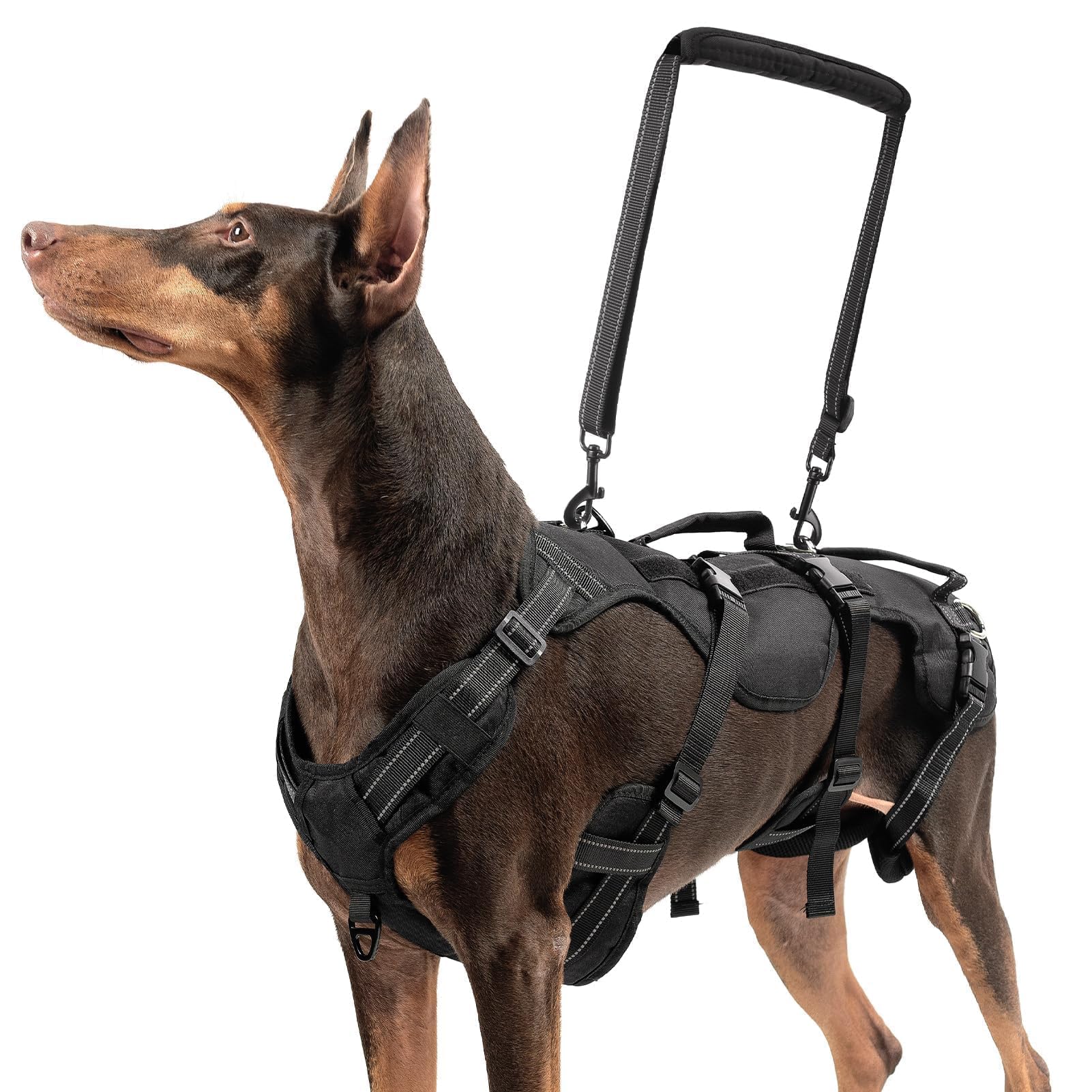 BINGPET Dog Lift Harness for Large Dogs,Full Body Support Rehabilitation  Dog Sling Carrier with Handles,Reflective Multifunctional Mobility  Assistance