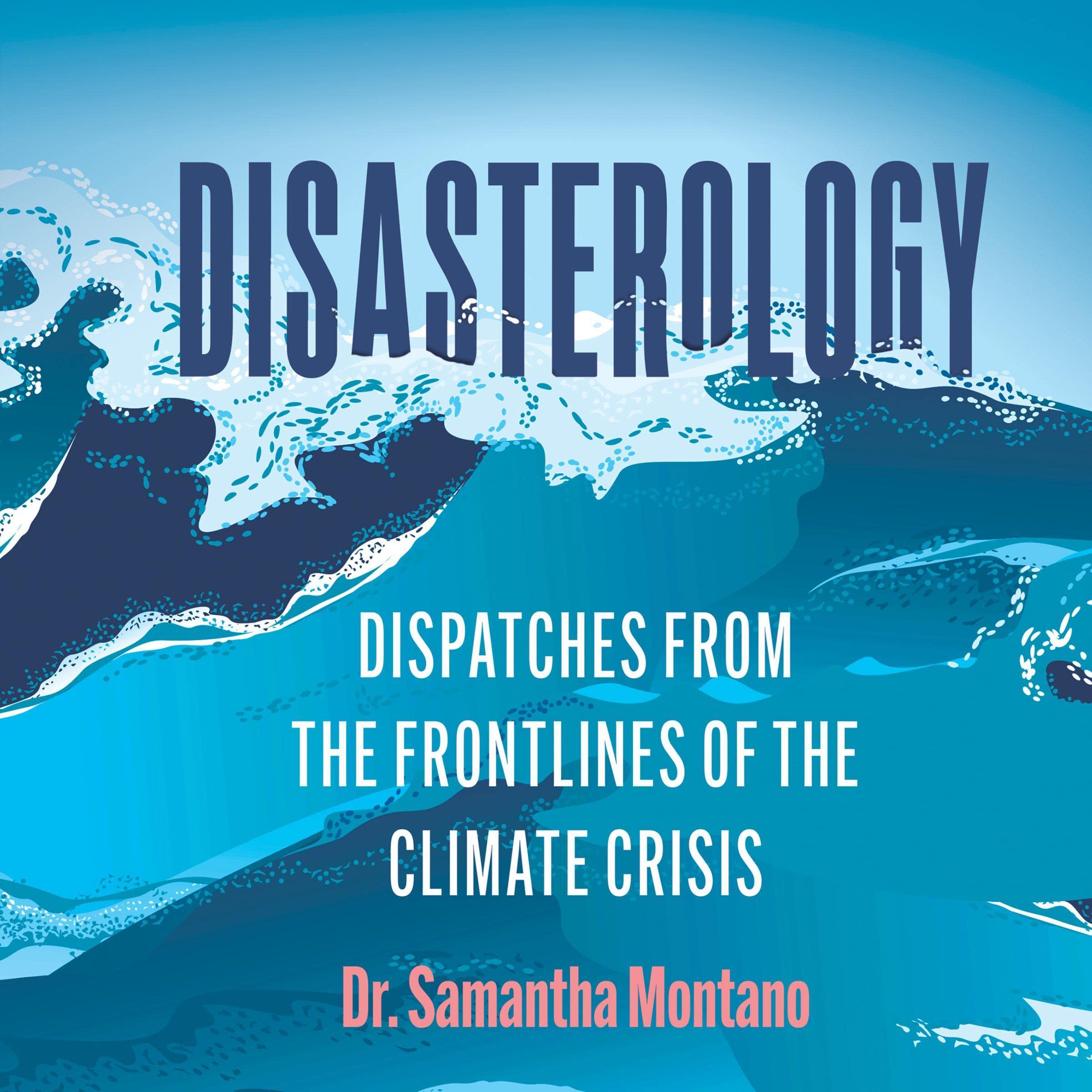 Cover art for Disasterology