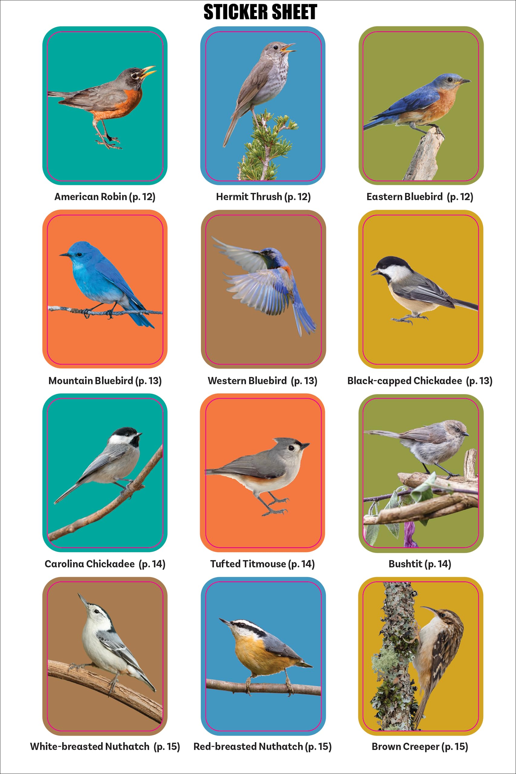 Birder's Logbook: A Seek-and-Sticker Book for Budding Ornithologists (comes with 100 full-color stickers of birds!) - Image 8