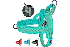 Reliable and Comfortable Dog Harness for Enhanced Outdoor Adventures