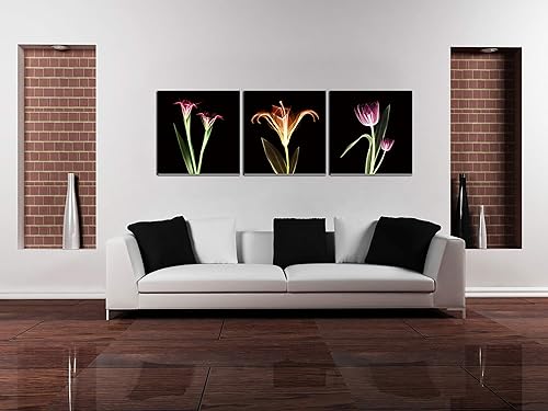 Chic Home Decor Tropical - Juego de 3 piezas de lienzo envuelto para pared, arte para la pared, impresión giclée, moderno, multicolor, diseño