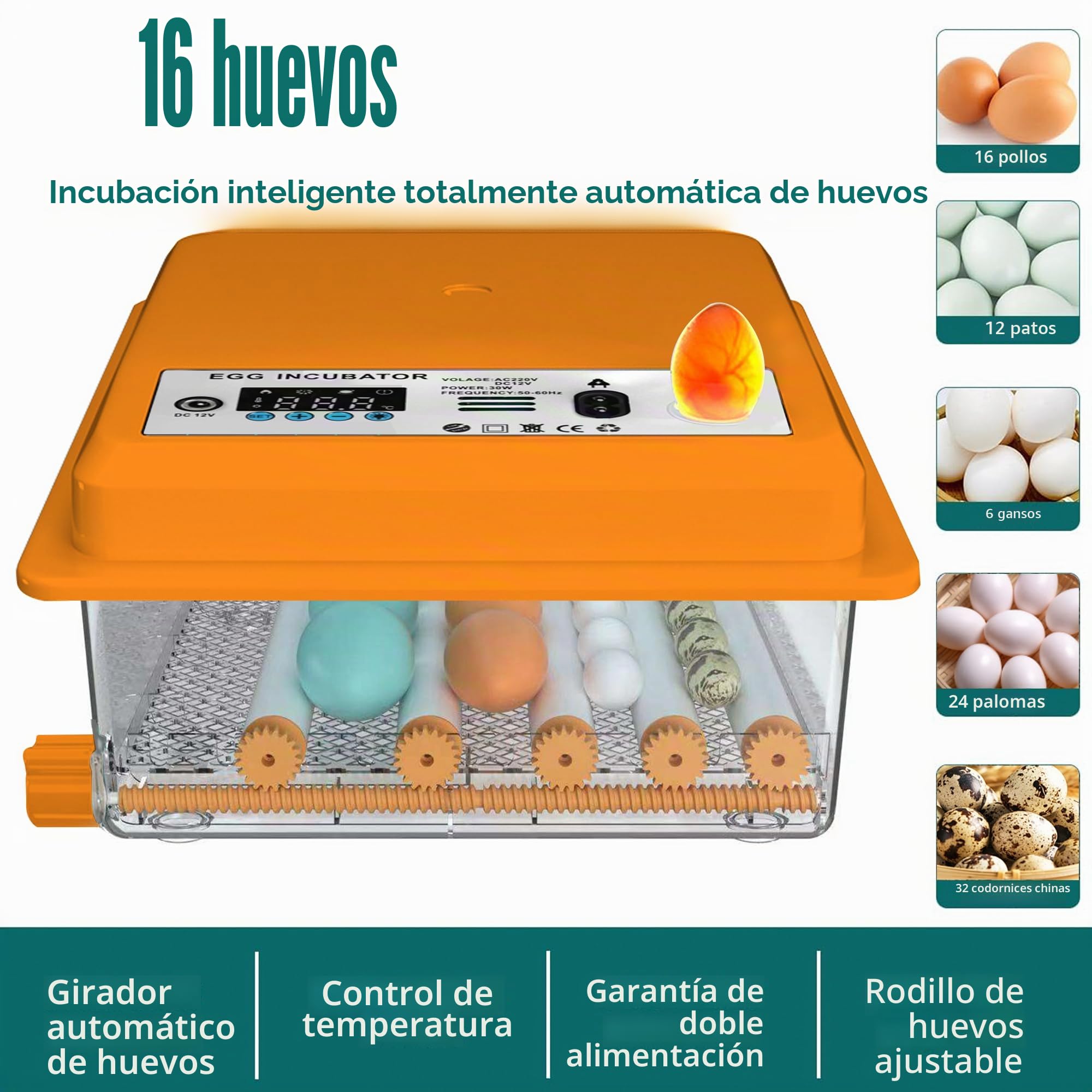 Incubadora de Huevos Automática 12-16 Huevos, Couveuse con Control de Temperatura, Rodillos Ajustables, Llenado de Agua Automático y Ovoscopio Integrado, Naranja