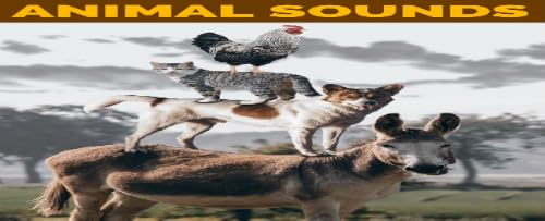 Animal Sounds – vue 9