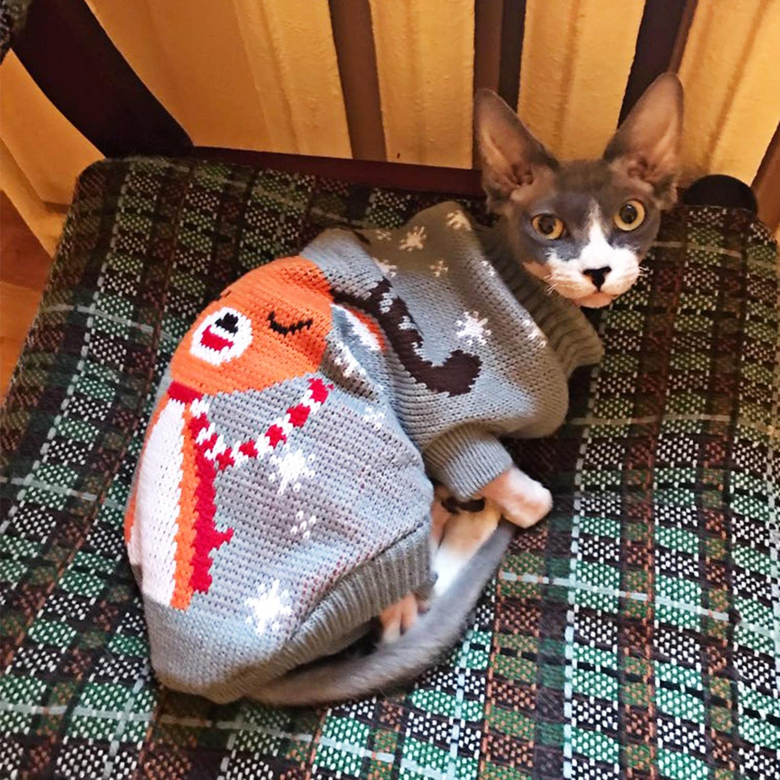 JIMINISO Kerst kat hond trui trui winter hond kleding voor kleine honden Chihuahua Yorkies puppy jas huisdier kleding ubranka dla psa