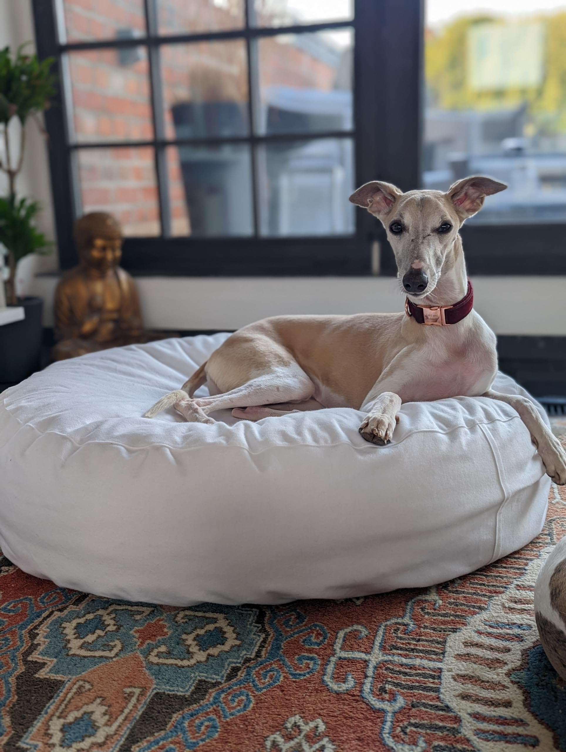 EDEL&SCHNELL wasserdichter Hundebett Bezug aus Molton, Auflage für Hundebett Flocke 90 cm, waschbarer Schonbezug Öko-Zertifiziert