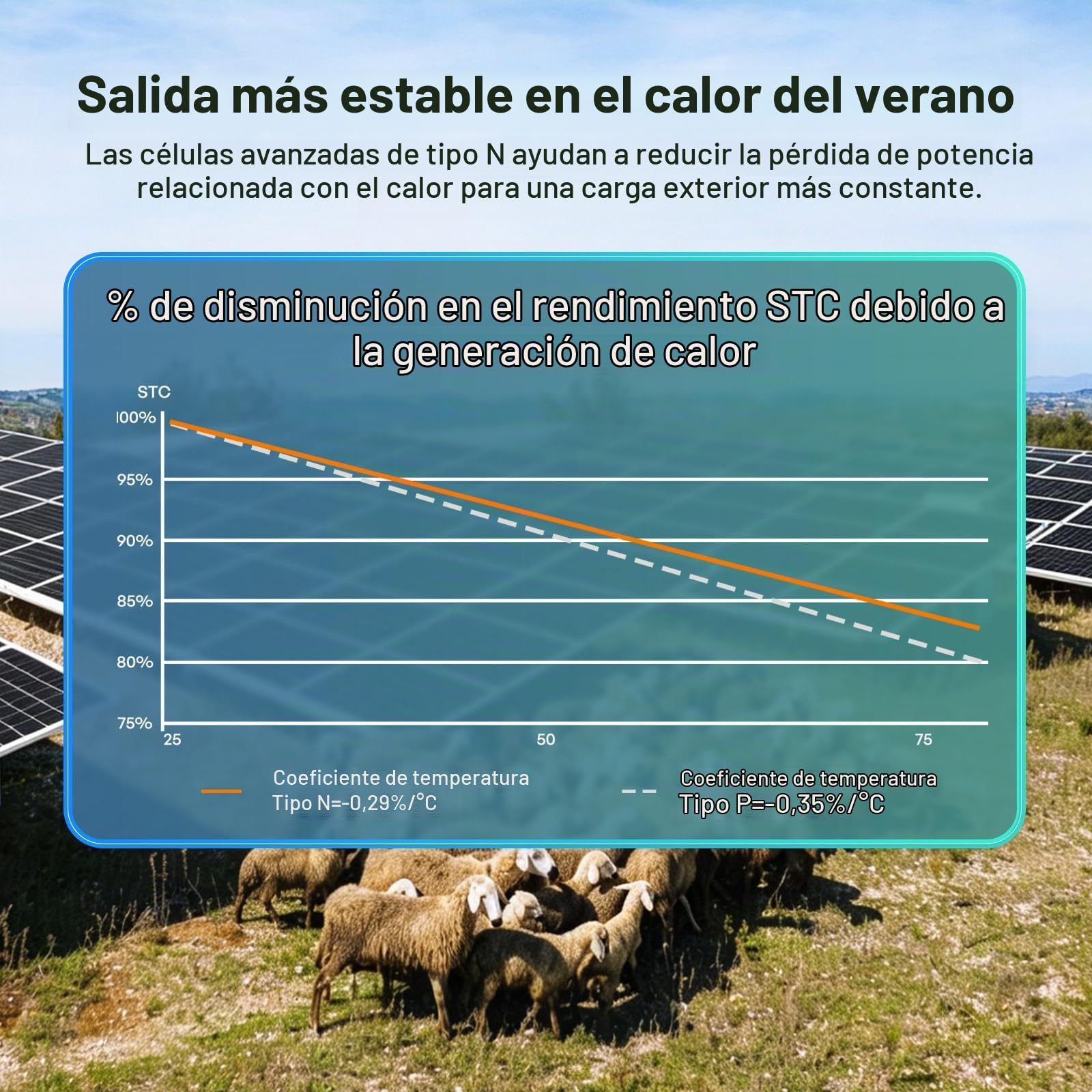 RENOGY Módulo solar monocristalino de 200 W N-Typ Bifaziales, 16BB IP68 Soalrpanel