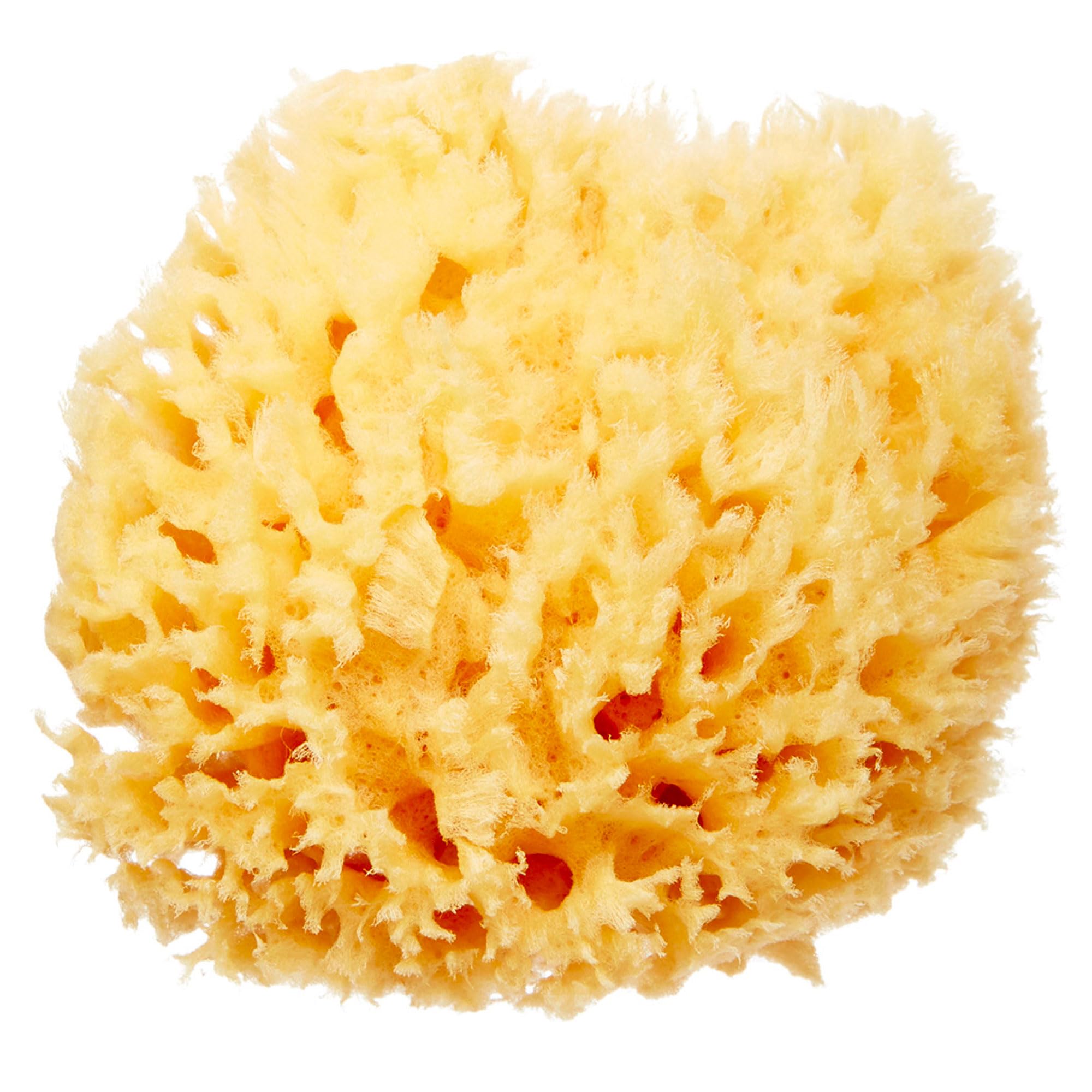 HartFelt Facial Sponge - Exfoliate & Remove Makeup -19 HartFelt Facial Sponge - Exfoliate & Remove Makeup -19