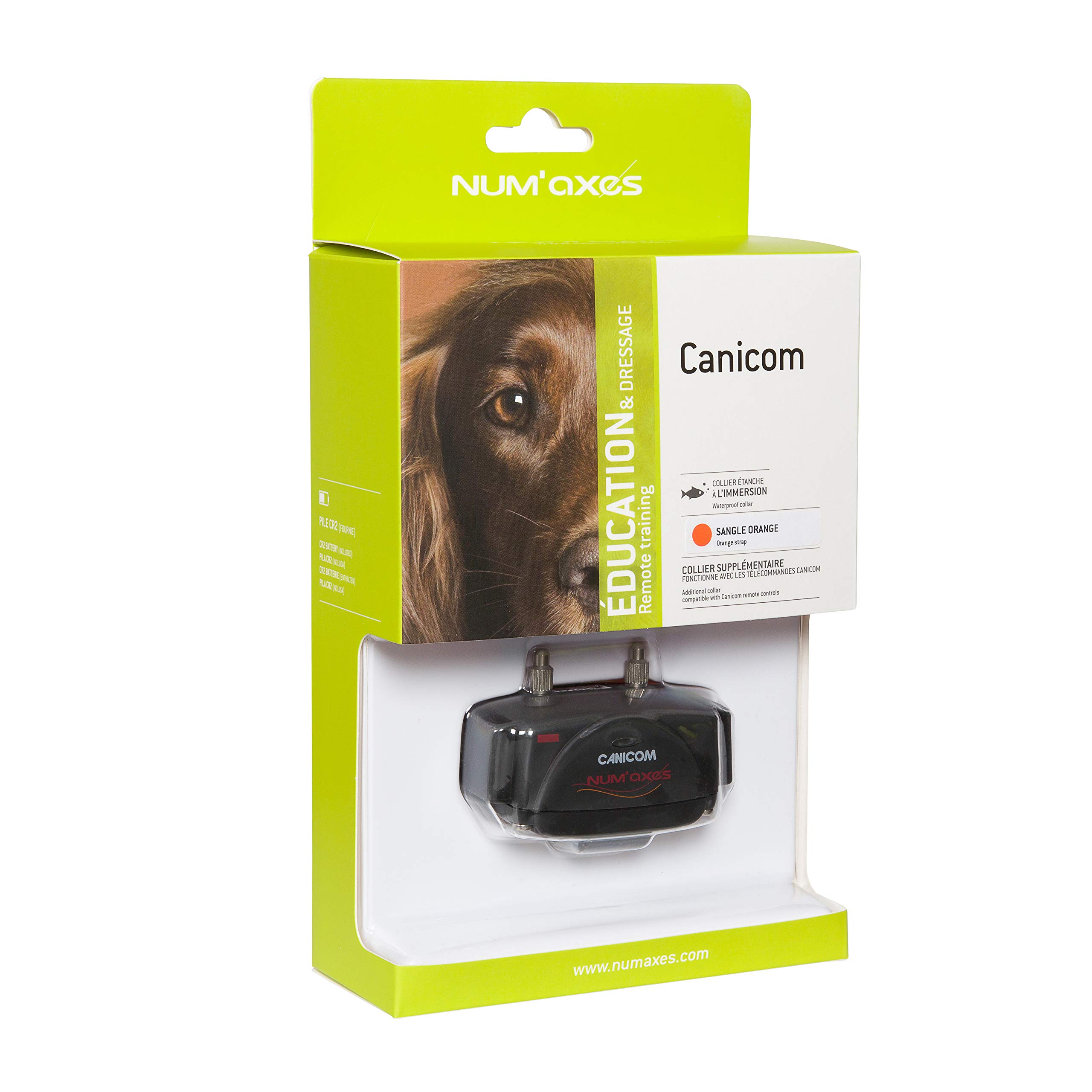 Collier Seul/SUPPLEMENTAIRE CANICOM avec Sangle Orange Fluo - Dressage pour Chien