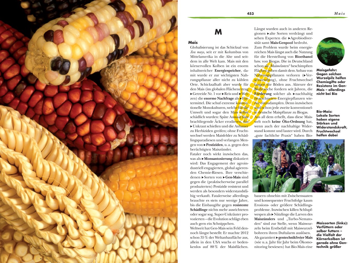 DAS BIO-FOOD HANDBUCH