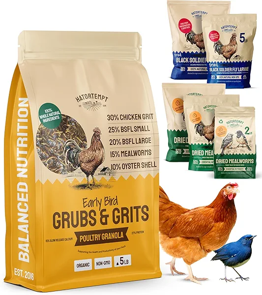 Hatortempt 5lb Grubs & Grits Organic Chicken Feed - 3 Grub Blend with Oyster Shells & Grits - Dried Mealworms for Chickens Plus Large & Small Black Soldier Fly Larvae - Food Designed for Foraging