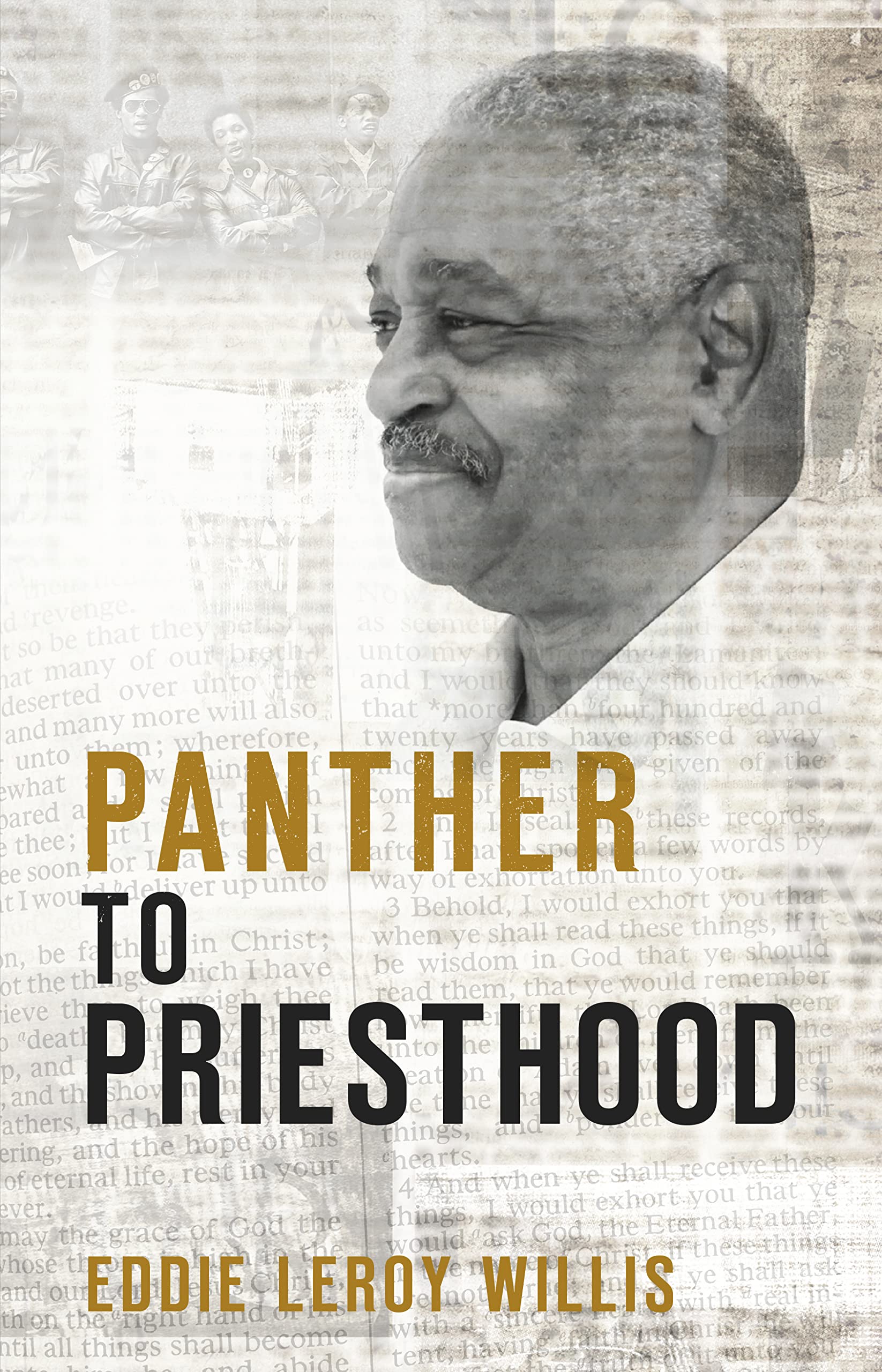 Buy Panther to Priesthood — BookShops.in