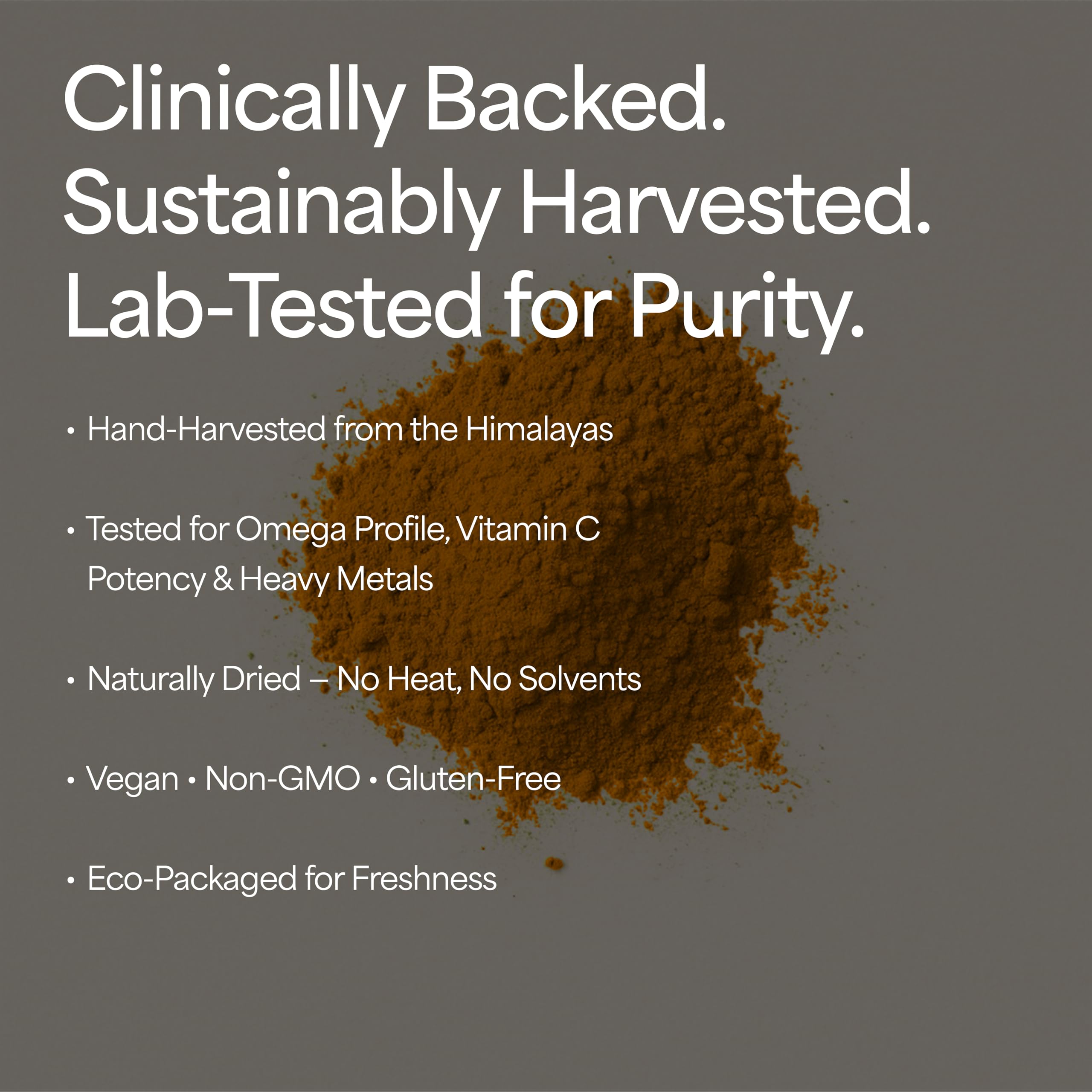 Therra Sea Buckthorn Powder - 250g | 100% Pure & Organic Sea-Buckthorn | Natural Immunity Booster with Omega 3-6-7-9 | Strong Antioxidant for Skin Glow, Gut & Heart Health | Rich in Vitamins, Fiber & Phytonutrients | Naturally Dried — Amazon image 7