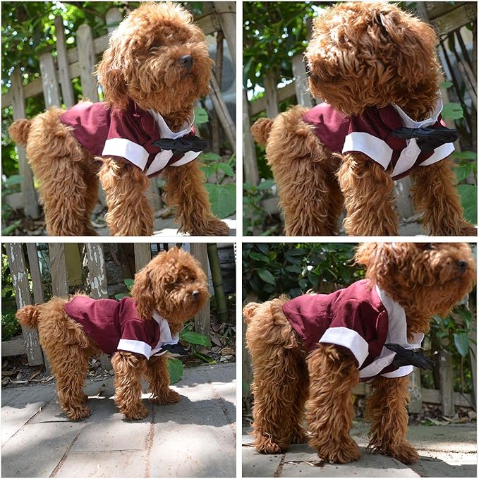 Disfraz de perro formal de Lovelonglong con moño, marrón rojizo, talla L-XL+ miniatura 3