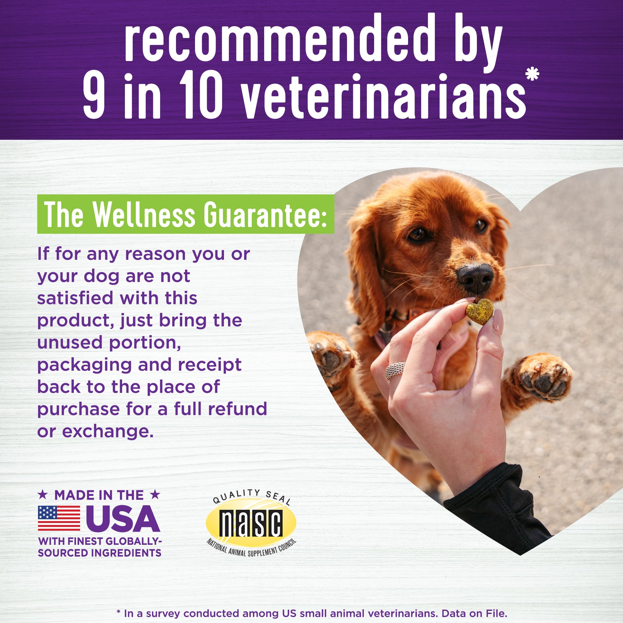 Wellness Pumpkin Patch Flavored Soft Chew Digestive Health Supplements for Dogs, 45 Count - image 5