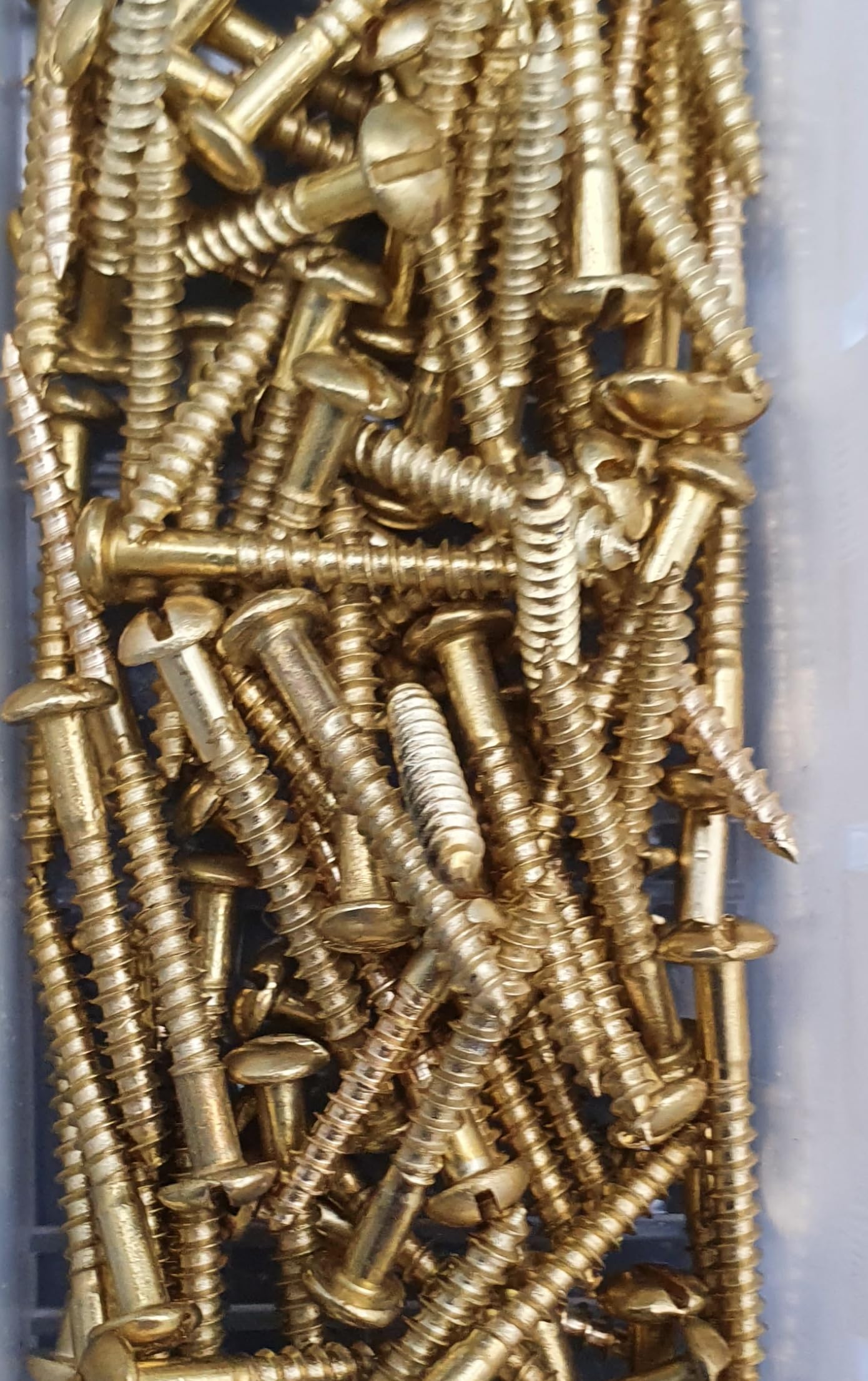 300 tlg. Set | Messing Holzschrauben Sortiment DIN 96 – Halbrundkopf Schlitz – Messing Blank – Dekorative Rundkopfschrauben in stabiler Box 2,5mm und 3mm Durchmesser