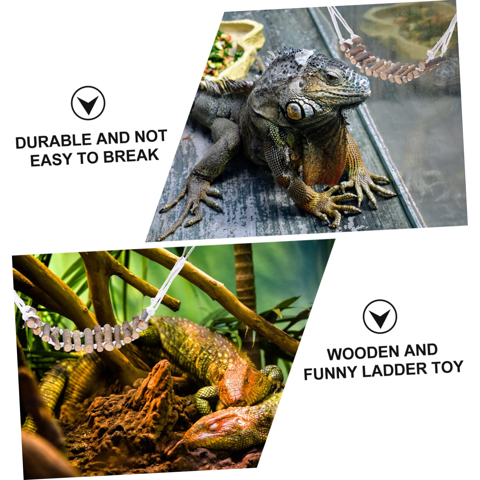 POPETPOP 2pezzi Decorativo Per Rettili Appesa Per Lucertole Accessorio Per Habitat Rettili Per Chameleonti e
