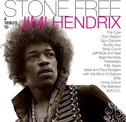 Stone Free (A Tribute To Jimi Hendrix) (Vinil Transparente / Preto) por Jimi Tribute Hendrix, capa do álbum