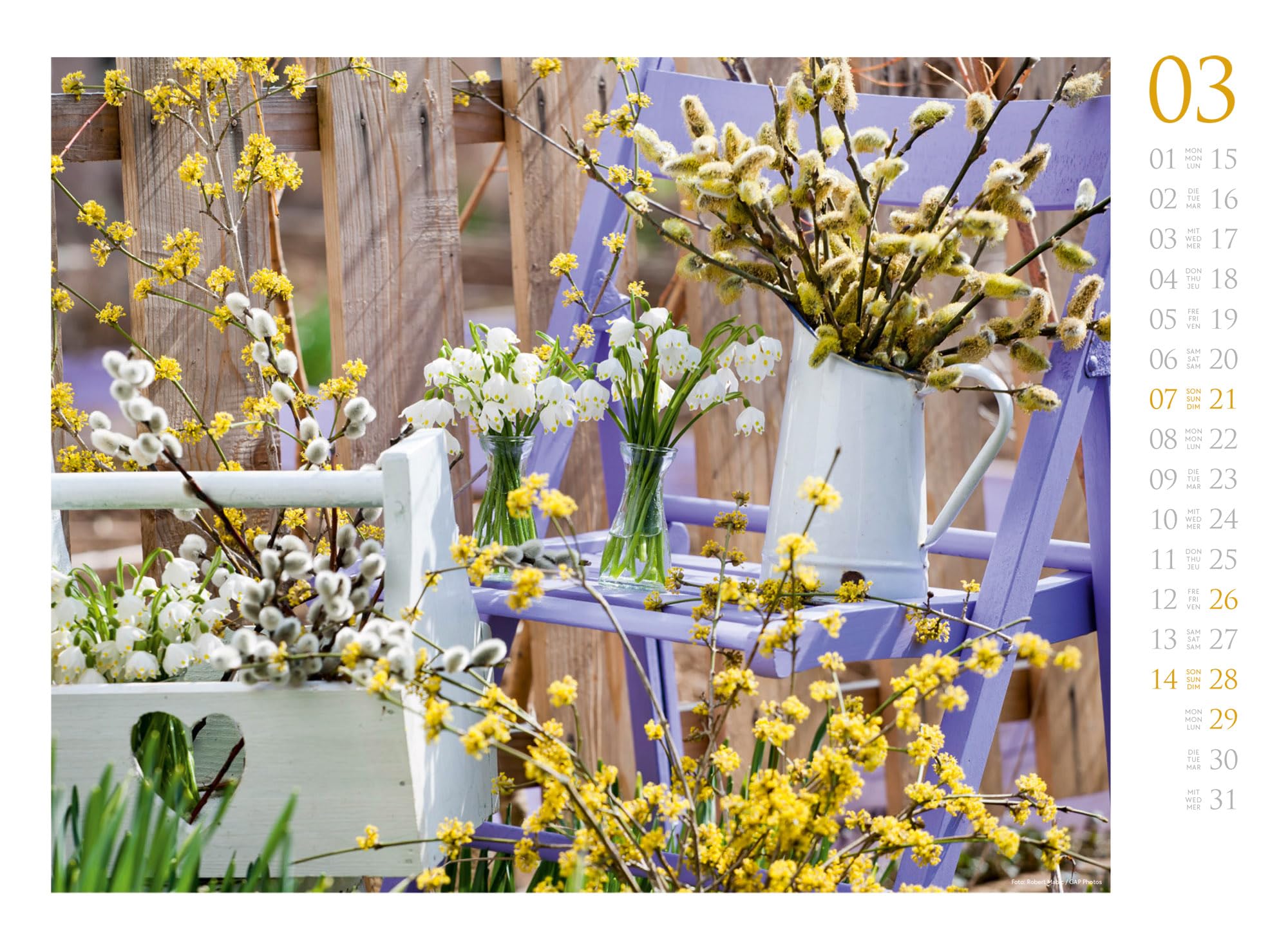 Blumenzauber Kalender 2027: Farbenfroher Blumen-Kalender im Querformat (45x33 cm) | Für Florist:innen und Garten-Fans
