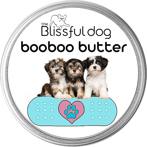 The Blissful Dog Mantequilla Havanese Boo Boo, 2 onzas