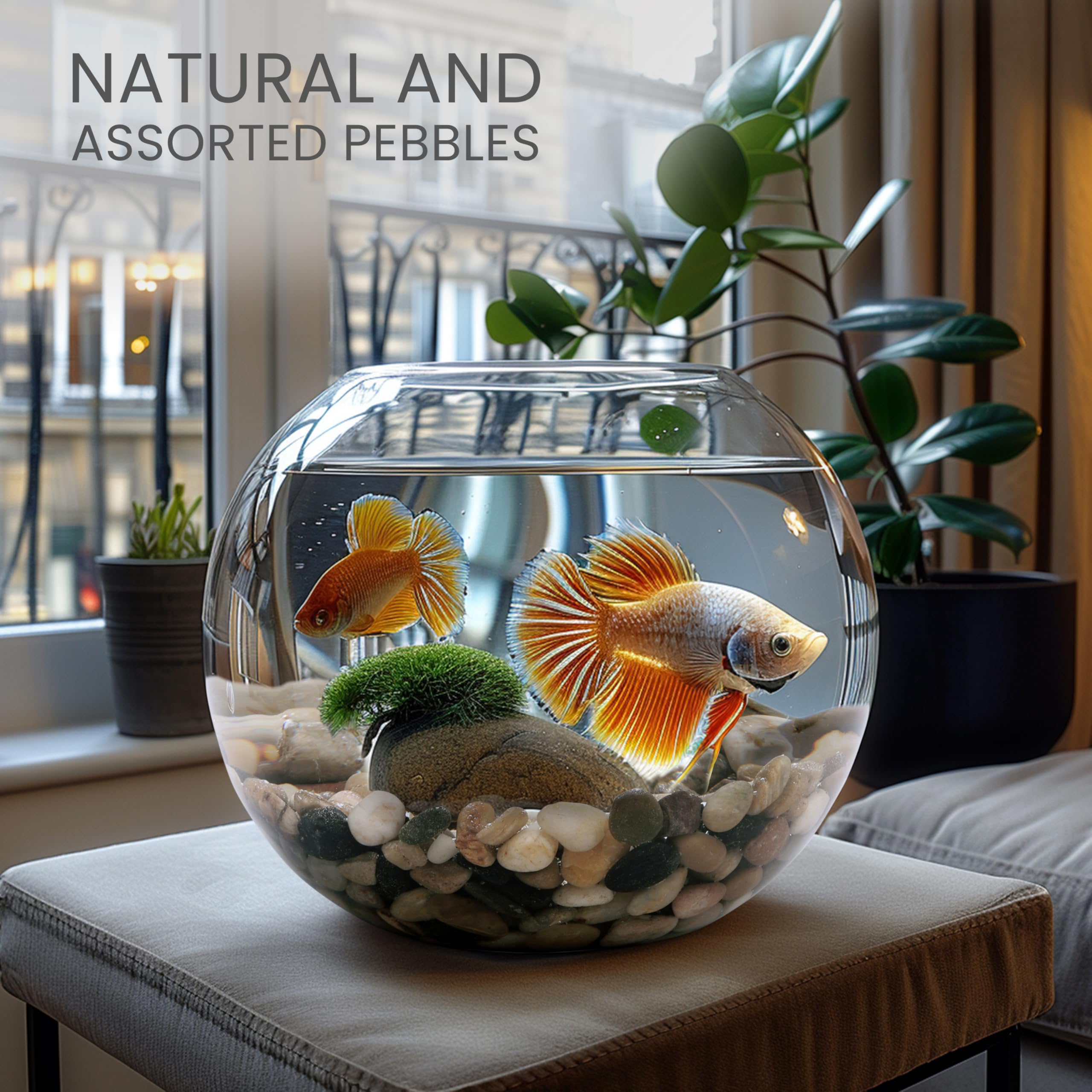 BELLE VOUS Sassolini Decorativi per Vasi (Sacchetto da 3,6 kg) - Ghiaia per Giardino Assortita da 1,4-2,6 cm - Sassi Acquario, Vasi di Piante, Paesaggistica, Casa e Giardino