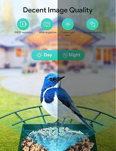 Miniatura 4 de Osoeri Comedero para pájaros con cámara, cámara inteligente para alimentador de pájaros con identificación de IA y alarmas de aves vivas, casa solar