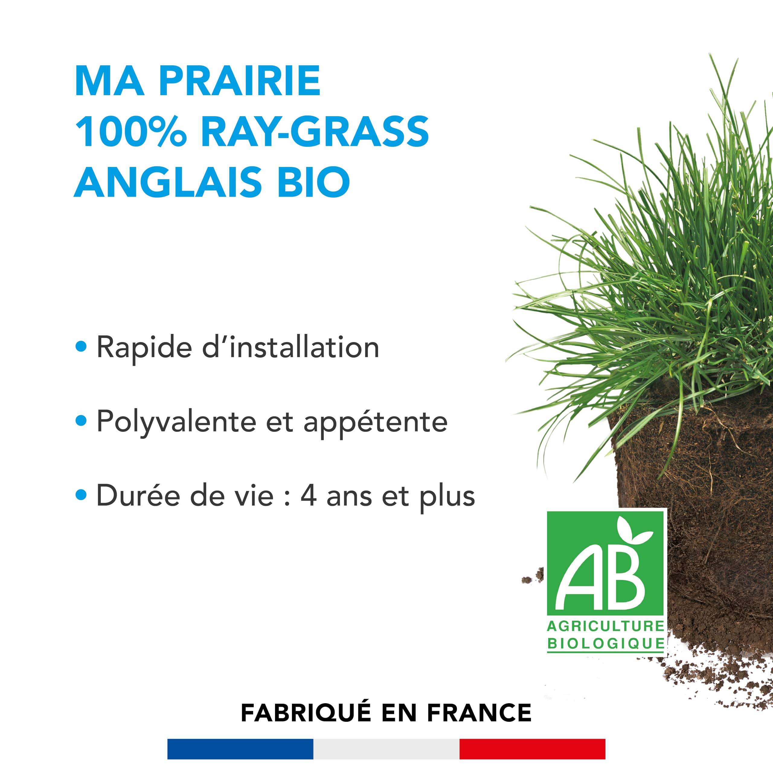 BARENBRUG - Prairie 100% Ray-grass anglais BIO - Pousse Rapide - 3KG | Prairie Polyvalente - Très Résistante dans le Temps - Fourrage pour Animaux - Fabriqué en France