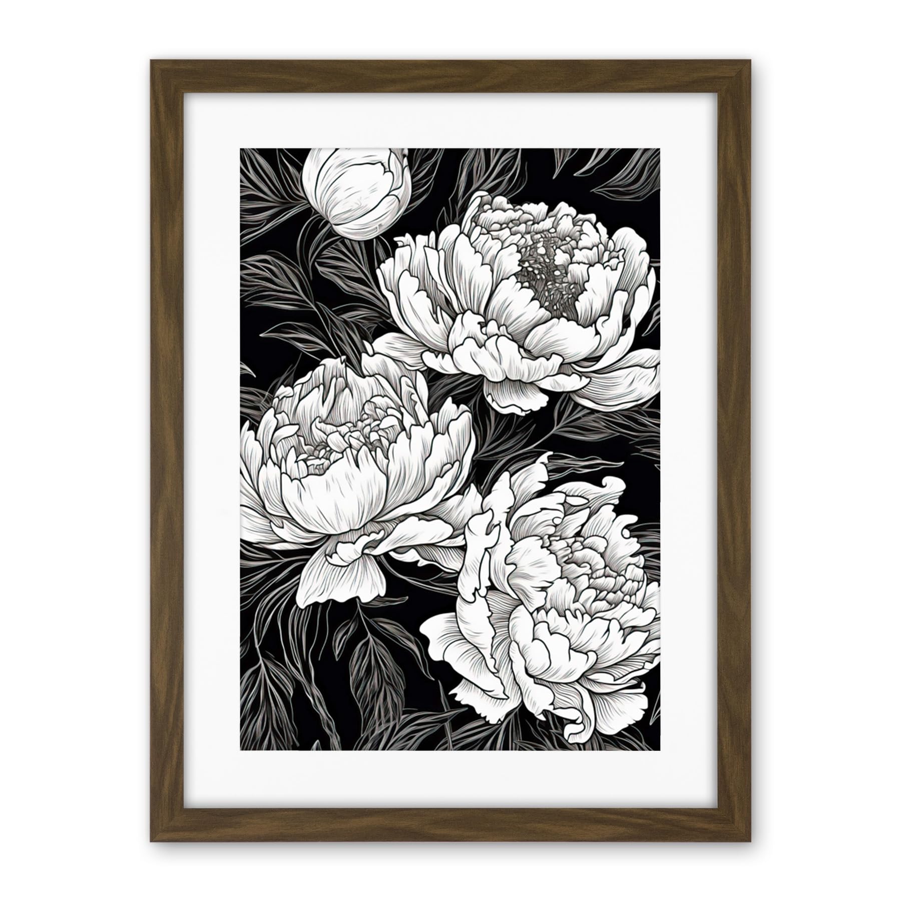 Artery8 Peony Flower Blooms White on Black Illustration Artwork Framed Wall Art Print 18X24 Inch