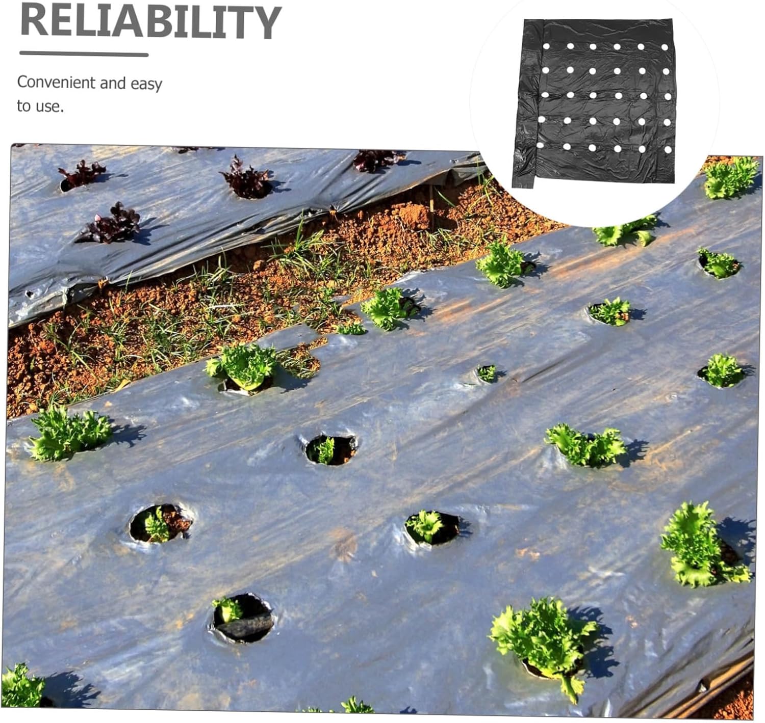 Pe Crop Mulch Film Thermal Insulation Perforated Agricultural Film Control Soil Easy Irrigation Long-Lasting Crop Protection Soil Health