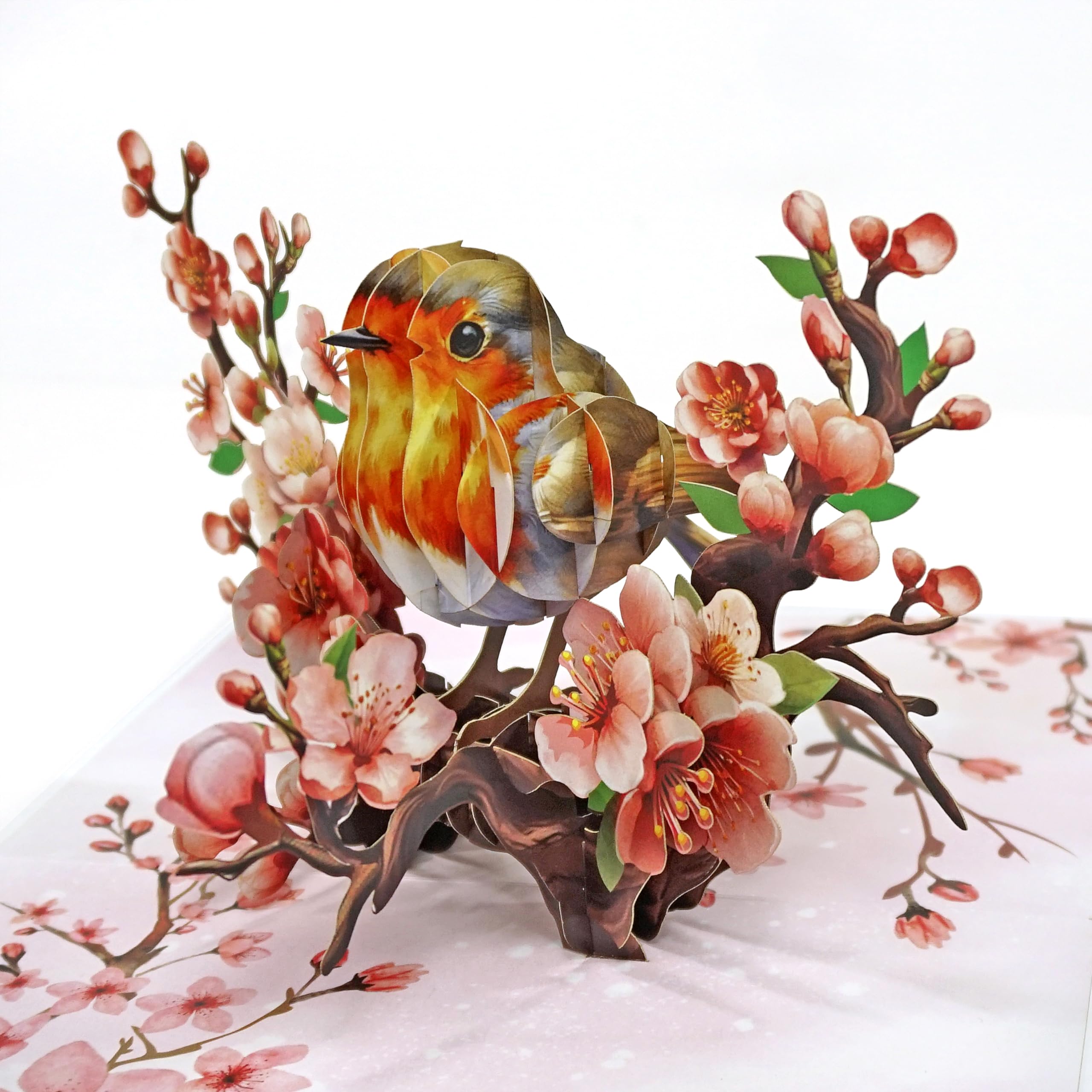 CUTPOPUP Robin Birthday Cards for Women, Sister Birthday Card, Mothers Day Card, 3D Card (Robin Cherry) US8-AN163UK โ image 1